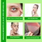 Uses Benefits Aloe Vera Infused Oil