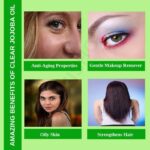 Uses Benefits Clear Jojoba Oil