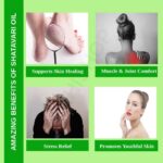Uses Benefits Shatavari Oil