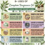 8 uses of campho fragrance oil