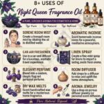 8 uses of night queen fragrance oil