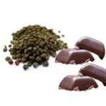 Chocolate Musk Fragrance Oil