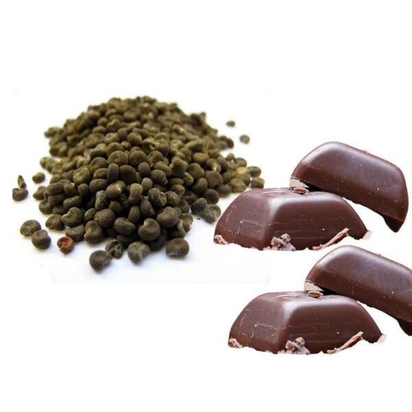 Chocolate Musk Fragrance Oil