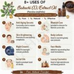8 uses of bakuchi c02 extract oil