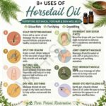 8 uses of horsetail oil