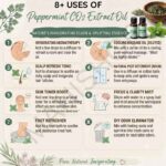 8 uses of peppermint co2 extract oil