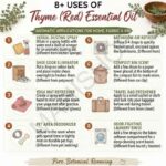 8 uses of thyme red essential oil