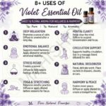 8 uses of violet essential oil