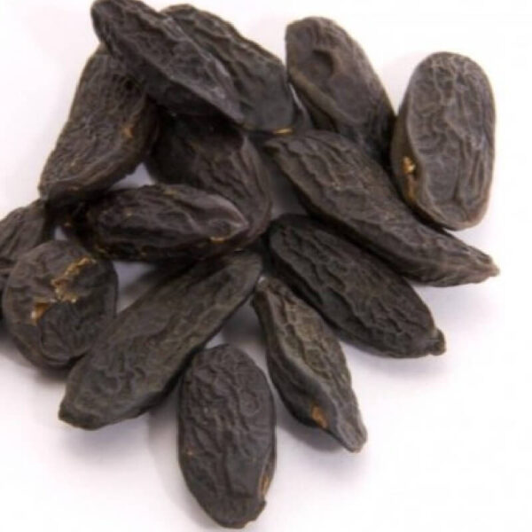 Buy Tonka Bean Oil