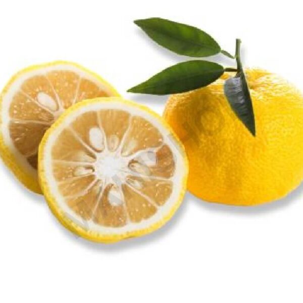 Buy Yuzu Essential Oil