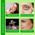 Uses Benefits Grape Seed Co2 Extract Oil