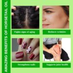 Uses Benefits Horsetail Essential Oil