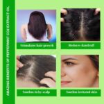 Uses Benefits Peppermint Co2 Extract Oil